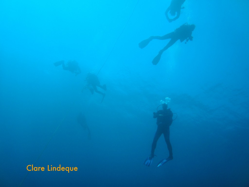 Divers above us, doing their safety stop