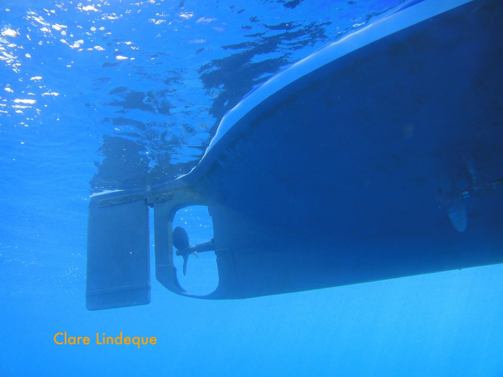 The propeller and rudder of our diveboat