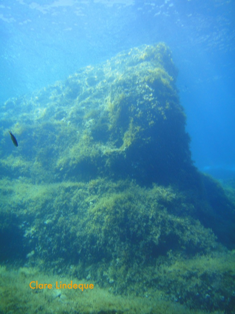 A pinnacle in shallow water