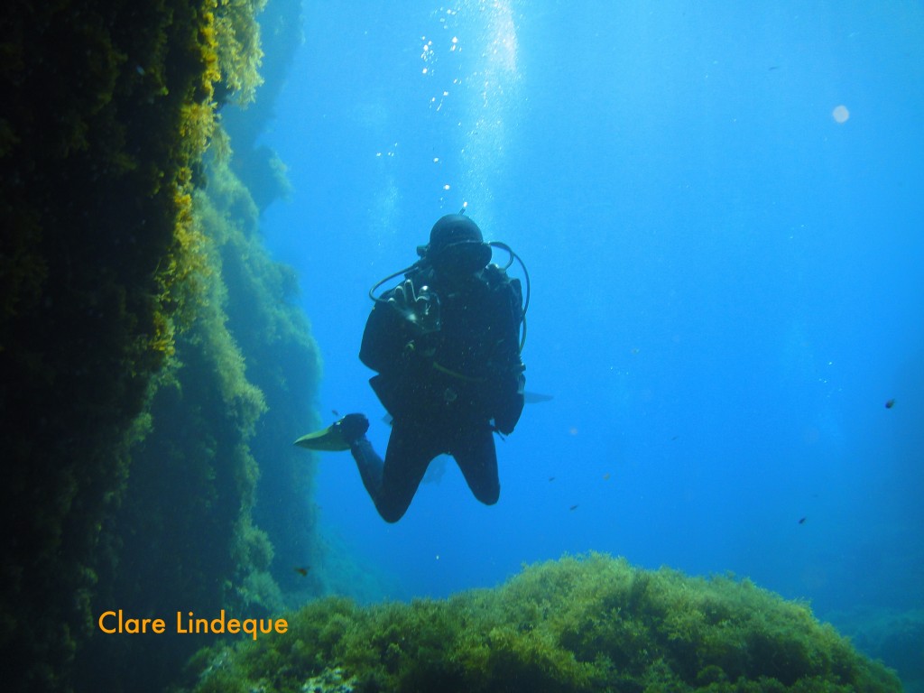 A diver emerges from the inland sea through the tunnel