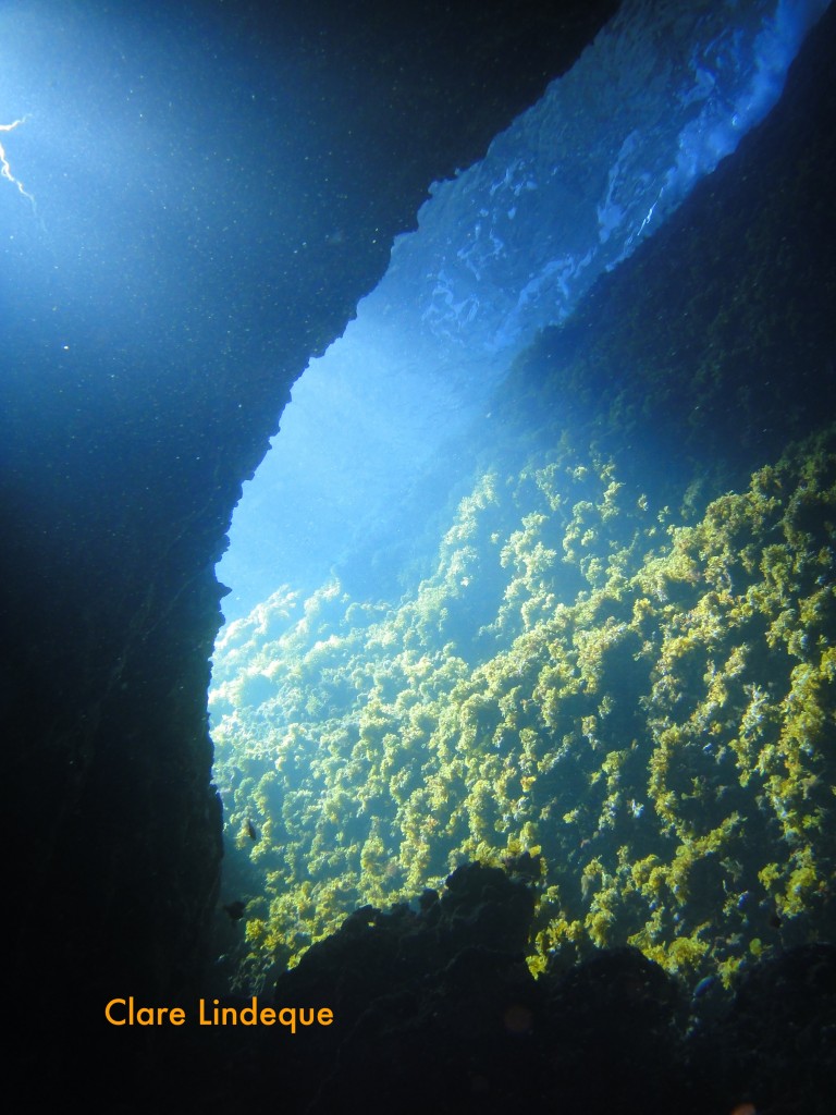 The short tunnel from the inland sea to the open ocean