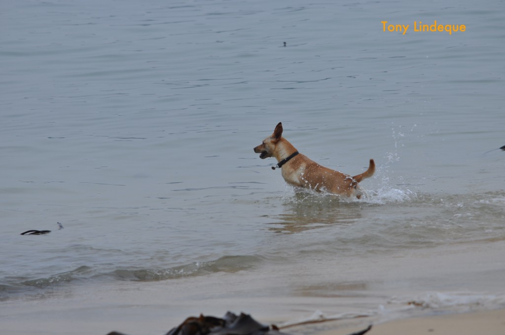 It's important to enter the water with confidence