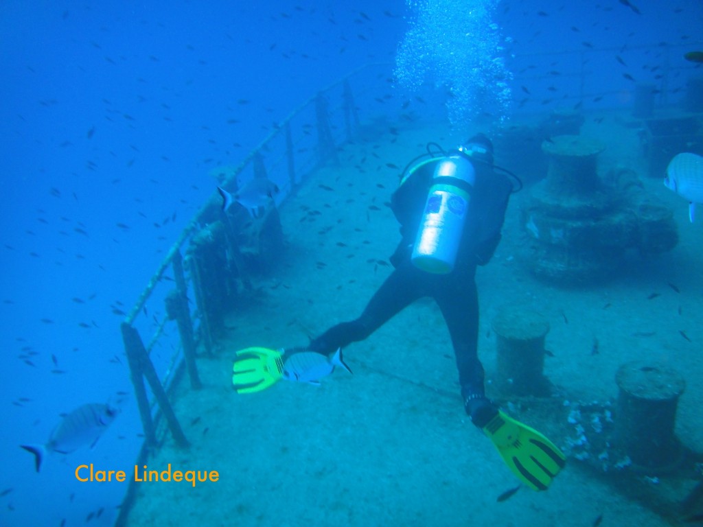 Sergey swimming towards the bow in a cloud of damselfish