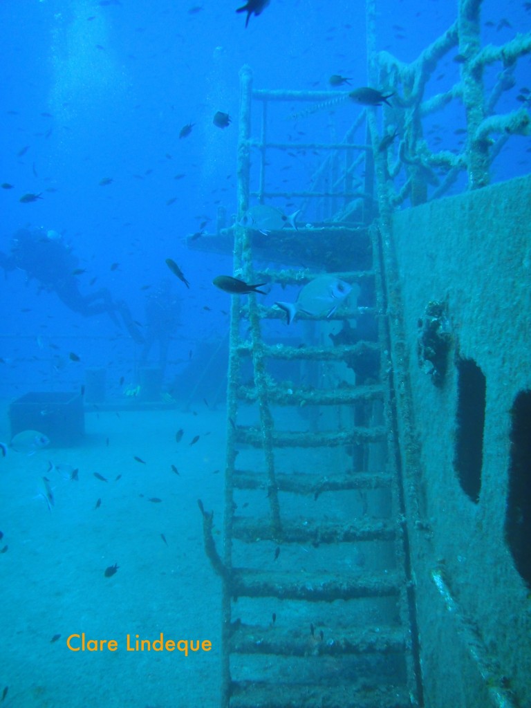 Ladder next to the superstructure