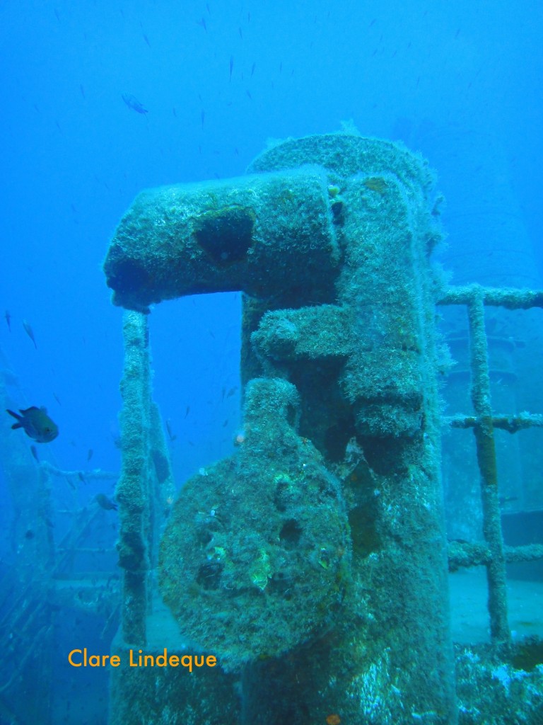 Part of a boom on the Um El Faroud