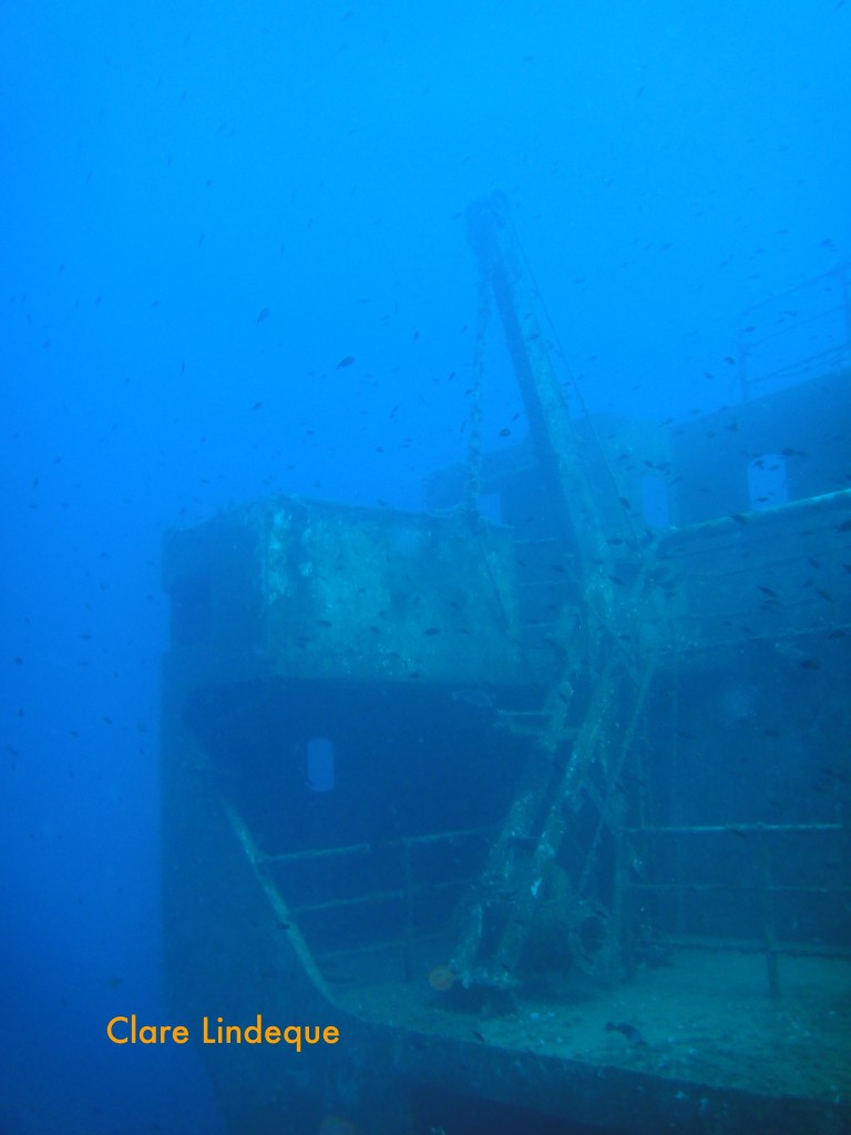 A crane on the Um El Faroud