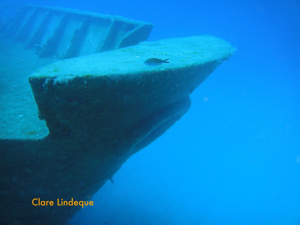 The bow of the Um El Faroud