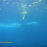 A boat passes overhead in the narrow inlet close to the Blue Grotto