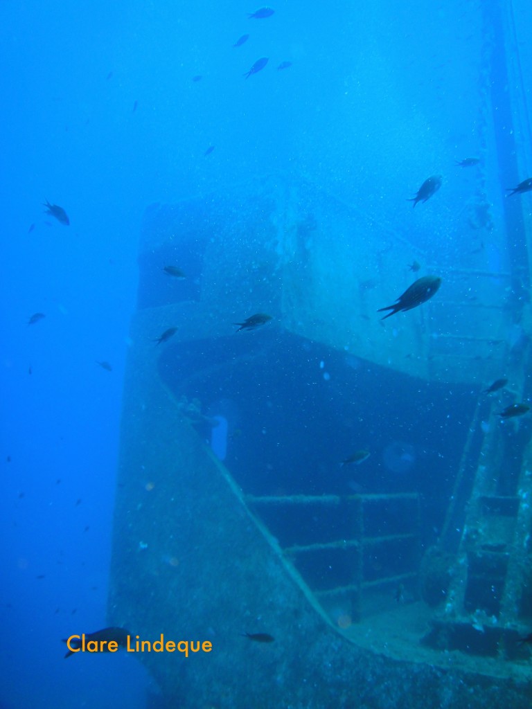 Gangway and upper superstructure