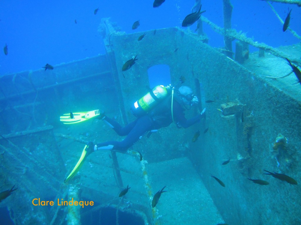 Tony investigates the interior of the wreck