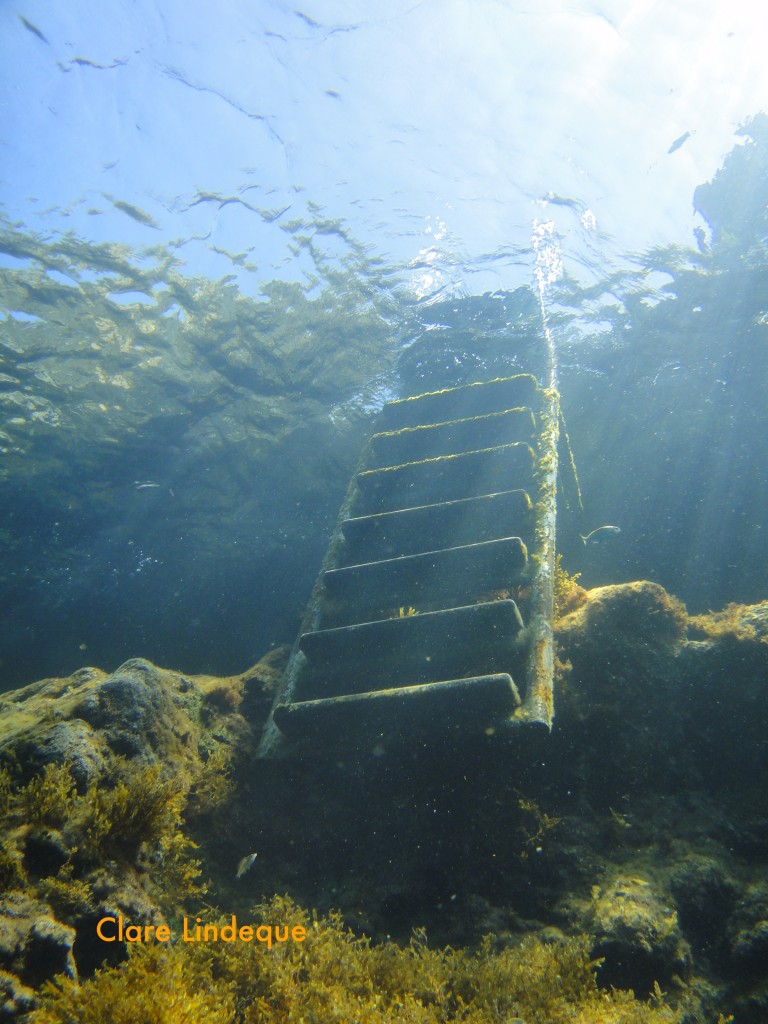 The ladder by which we exited the water