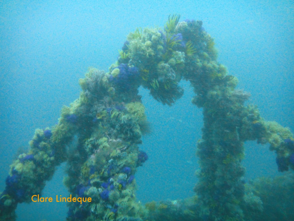 Railings and other fittings abound on the deck of the MFV Orotava