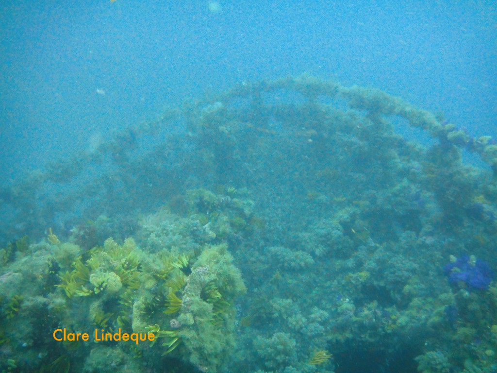 The bow of the MFV Orotava