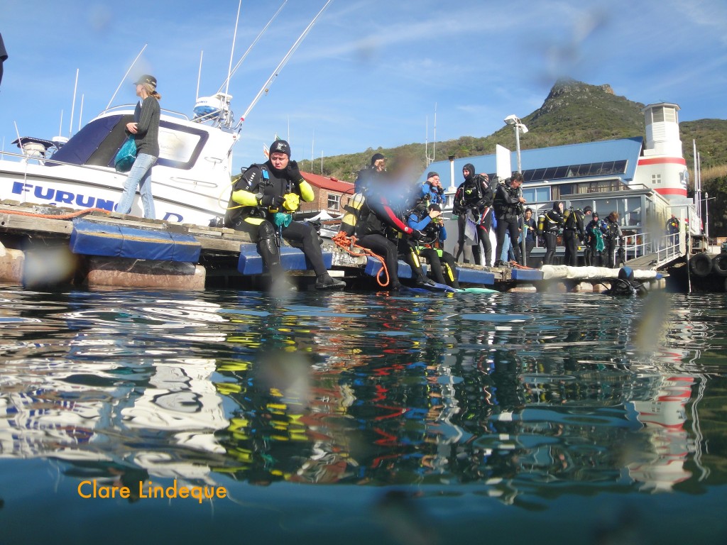 Divers waiting to enter the water on the floating jetty