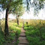 Path leading to the Oog