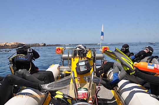 A Day on the Bay: Sharing the seals