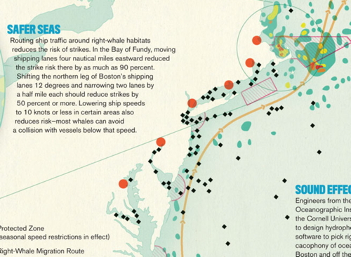 Threats to North Atlantic right whales