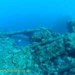 The wreck is covered in coral