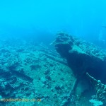 Top of the wreck