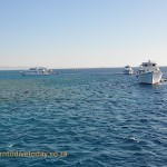 Liveaboard anchored at a reef