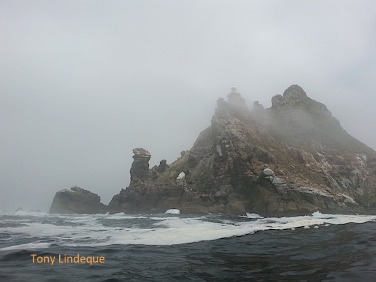 Cape Point shrouded in mist