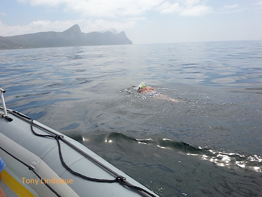 Richard swims into a glassy False Bay