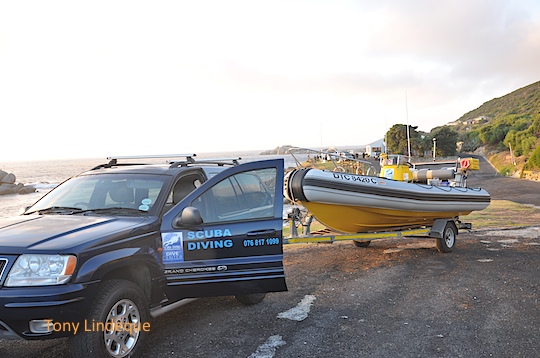 Seahorse trailered at Millers Point