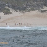 Swimmers on Diaz Beach