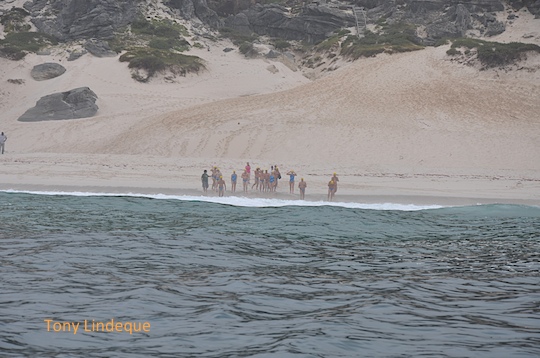 A Day on the Bay: Swimming for Hope