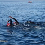 Our three swimmers set off