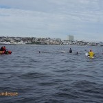 Handing the swimmers over to Big Bay lifesavers