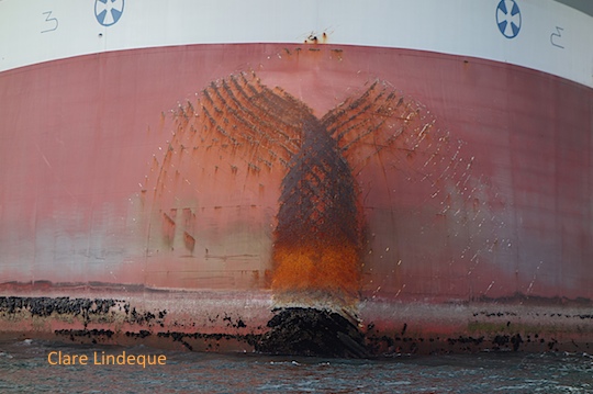 Bulbous bow of E-Whale