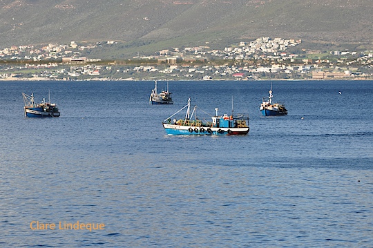 Fishing boats at anchor in Fish Hoek