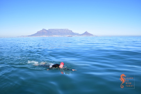 Swimming in Table Bay