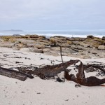 The "bonus wreckage" of the Thomas T Tucker further along the beach